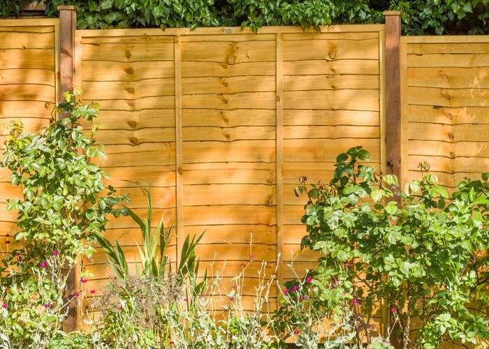 The Importance of Backyard Fences Installation
