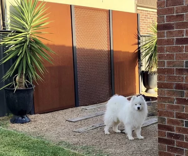 Privacy Fence Screens For Pets