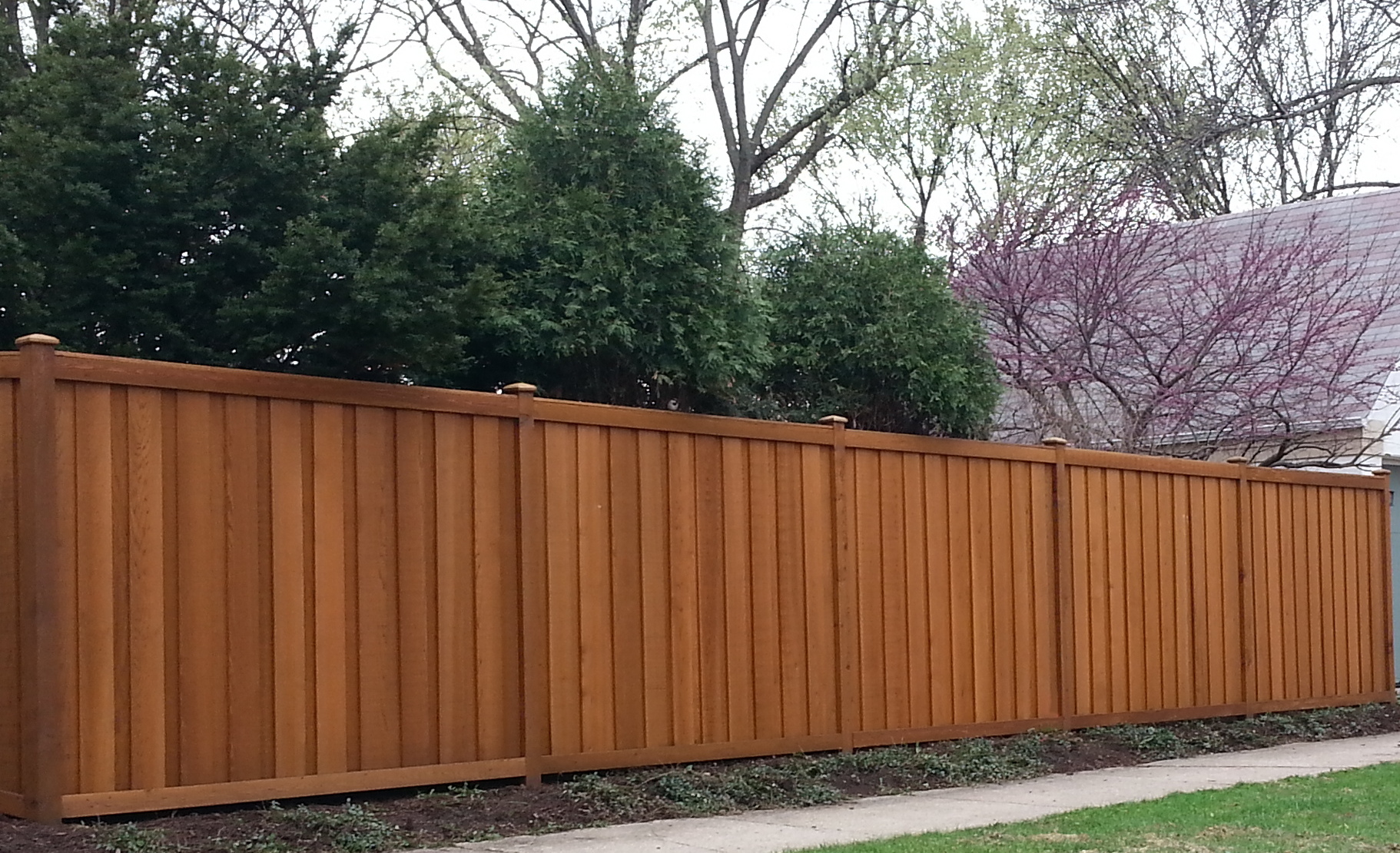 Why choose Privacy Cedar Fencing For Your Home - Pentagon