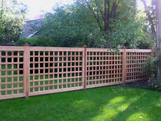 Backyard Fence
