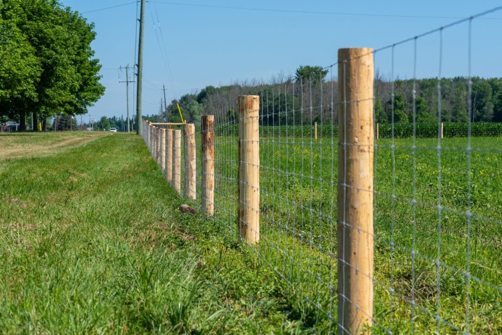 What Are The Best Farm Fence Materials? Pentagon