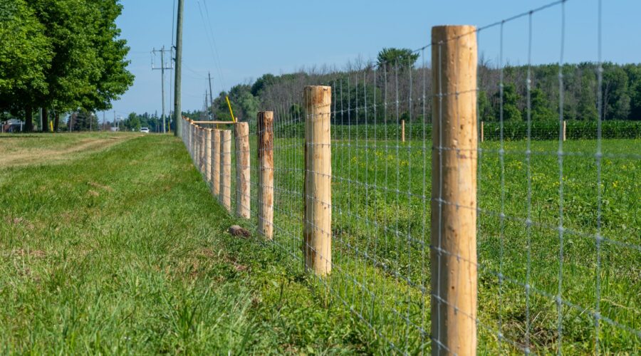 Farm Fence
