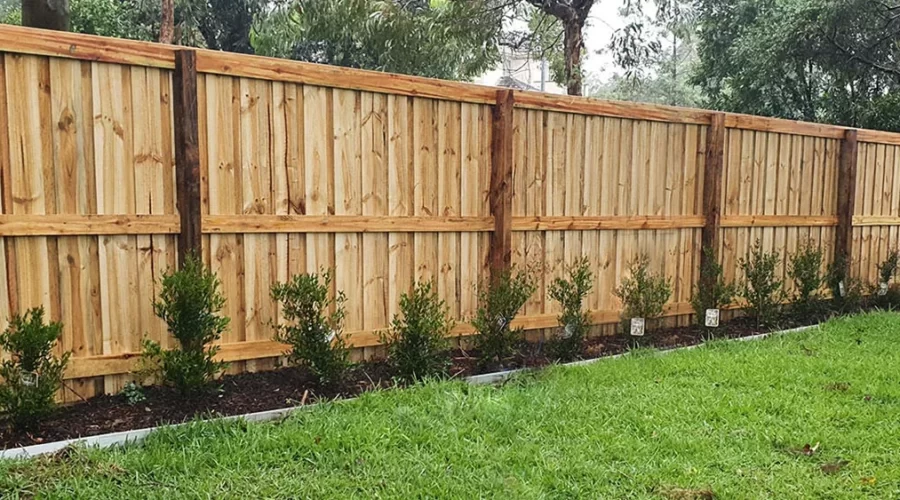 Timber Fence - Timber Pailing Fencing in Melbourne, Fencing contractor in Vic, Melbourne, timber fencing contractor near you