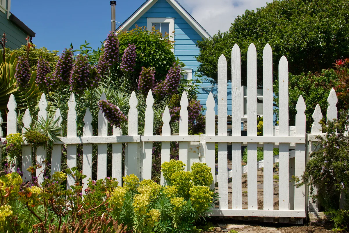 Small Fence