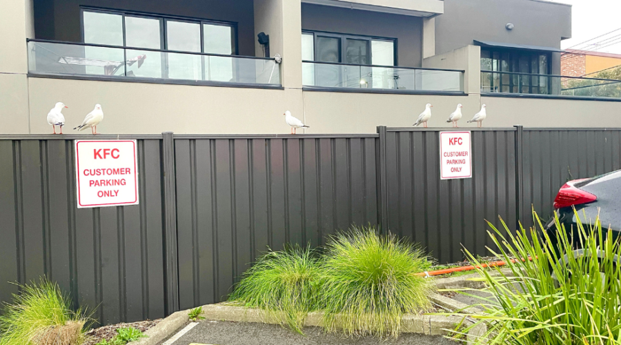 Colorbond fencing - Commercial fencing in Melbourne