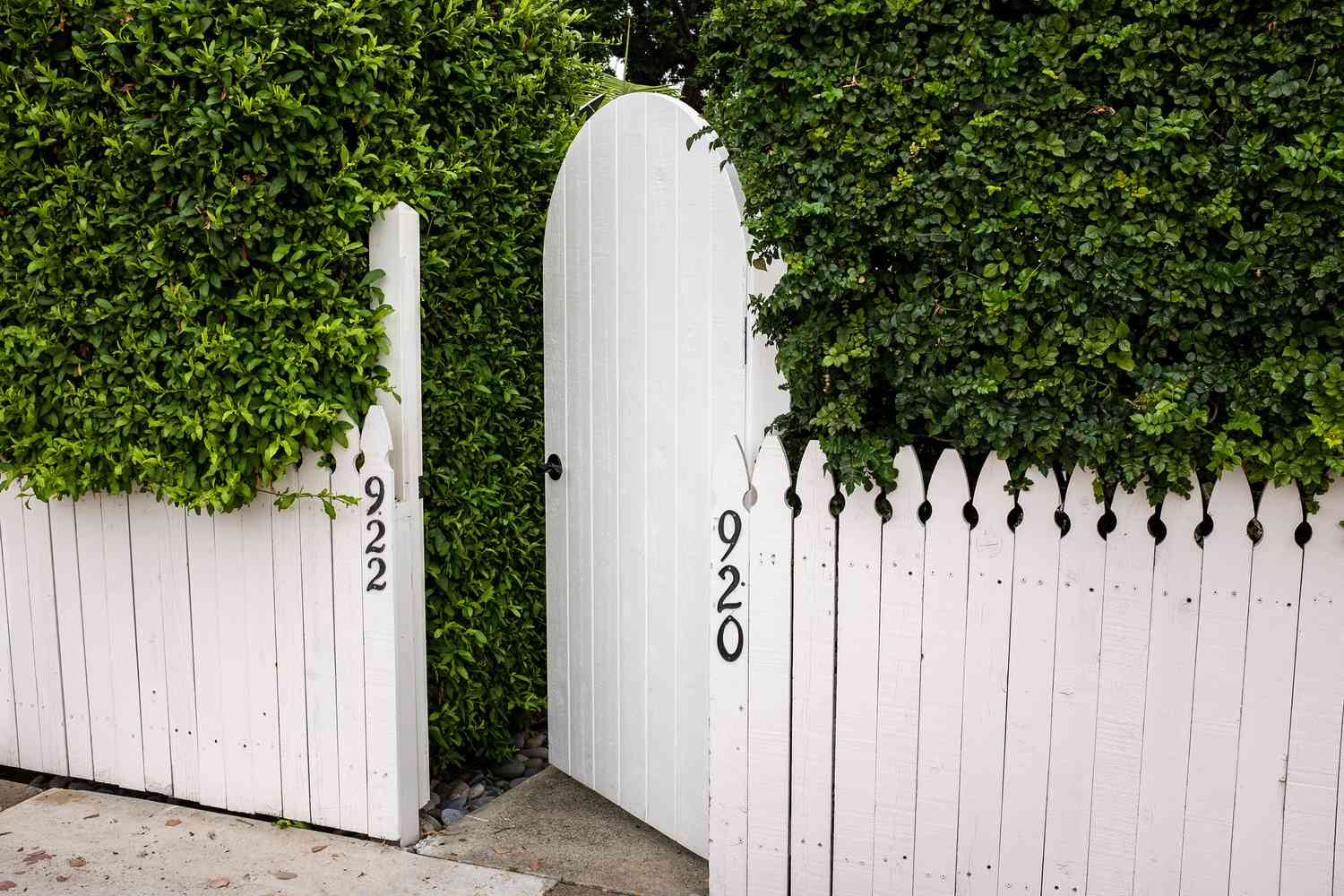 Living Fence with Pickets