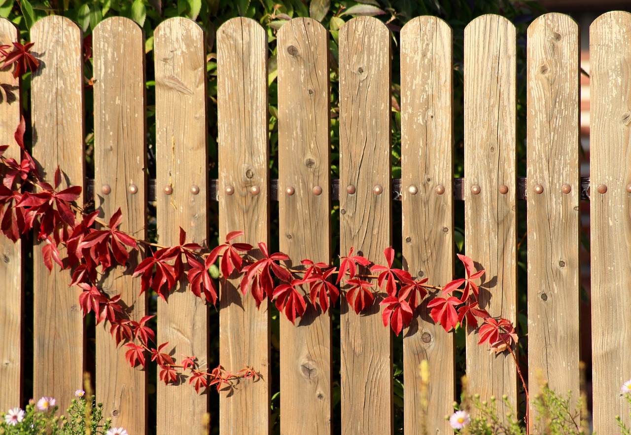 Integrate vine plants into your picket fence - 17 Picket Fence Designs