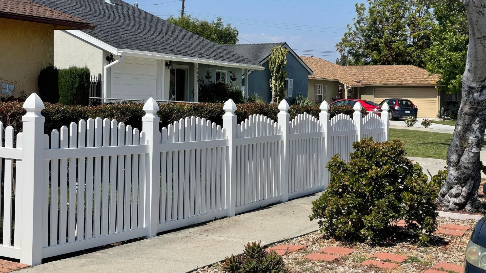 Arched Picket Fence