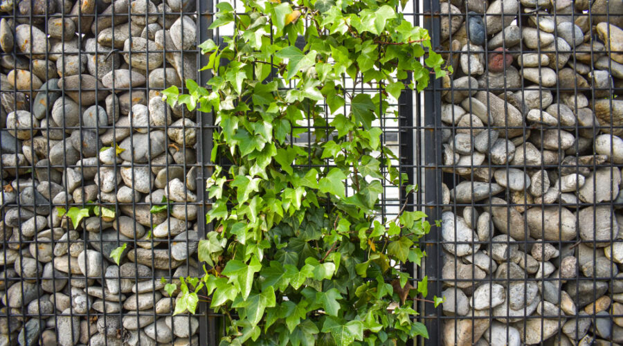 Gabion Wall Fencing