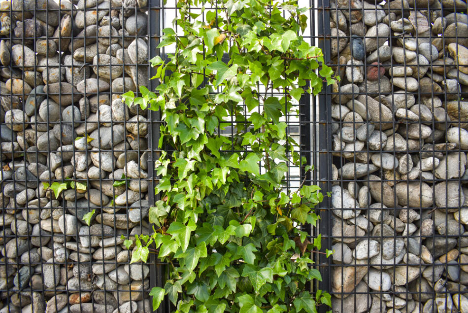 Gabion Wall Fencing