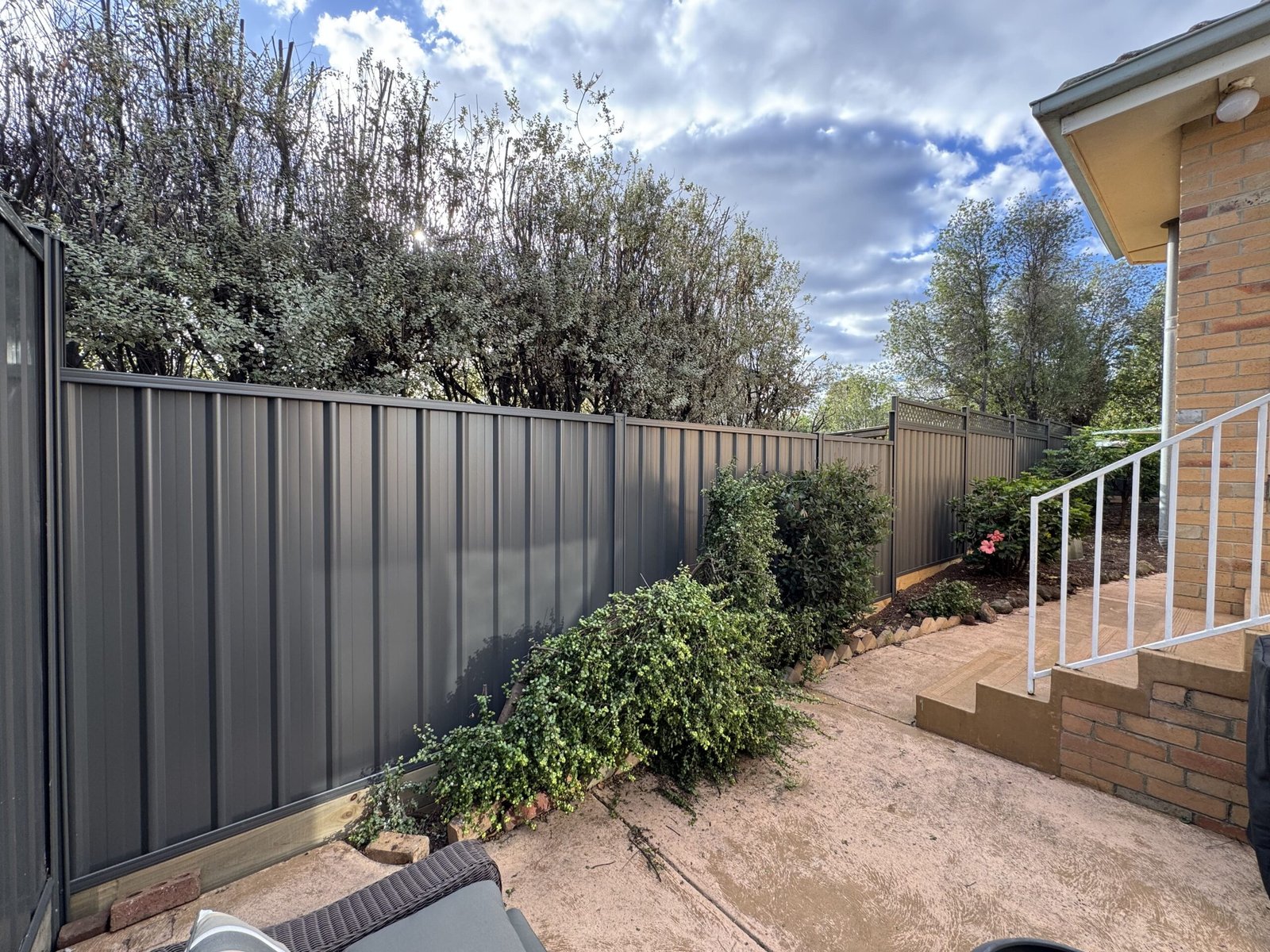 colorbond privacy fencing