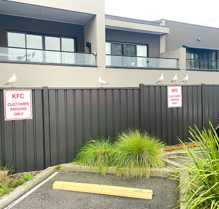 Colorbond fencing installation in Coburg Melbourne for commercial project